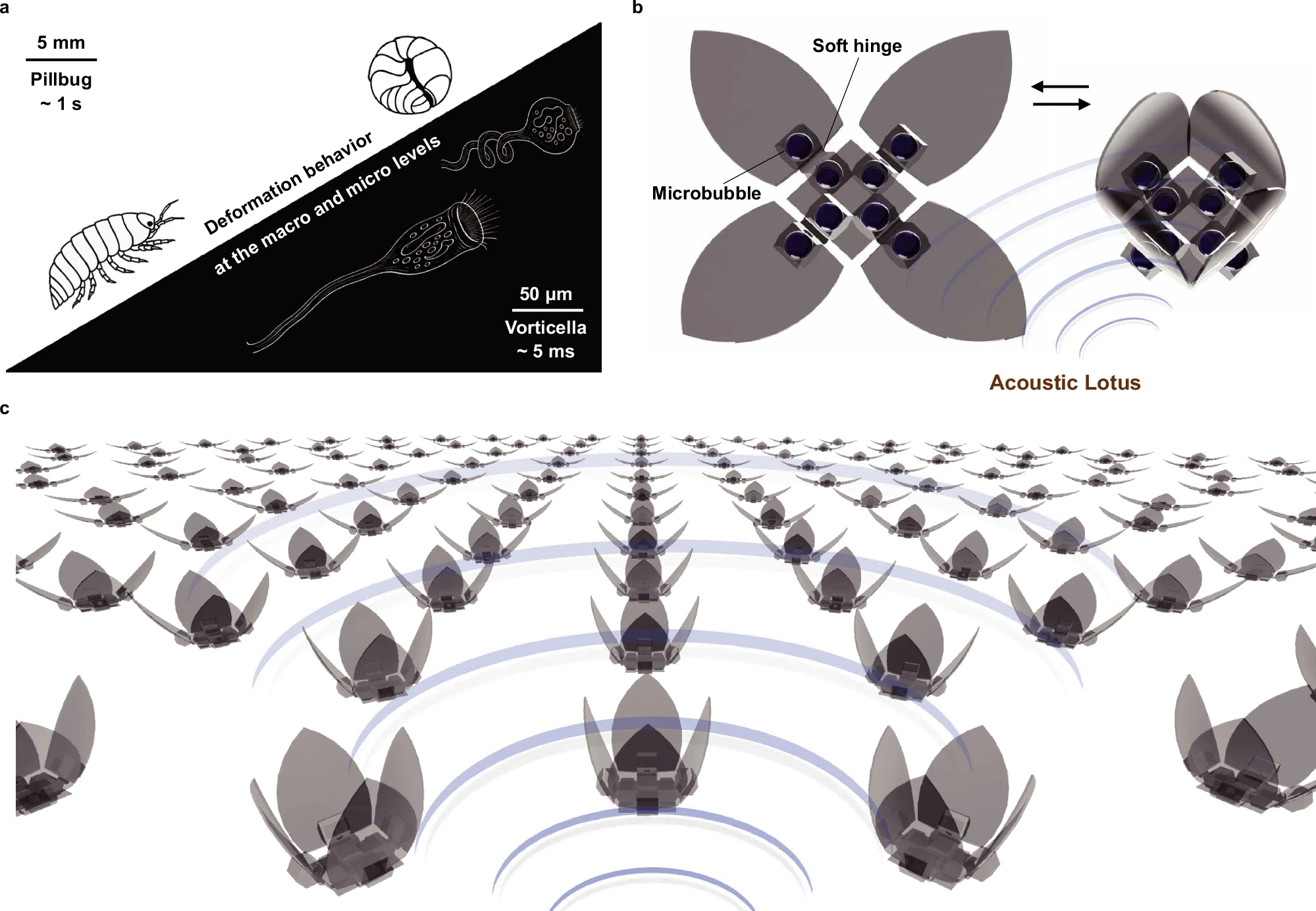 Acoustic shape-morphing micromachines